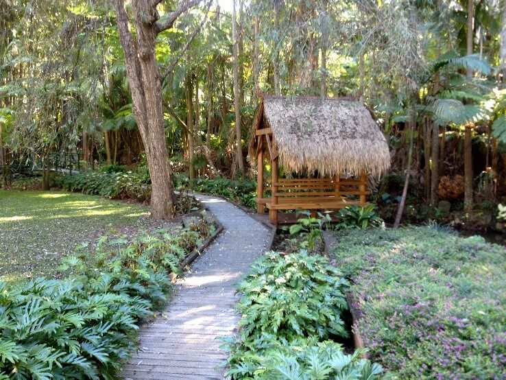 Tamborine mountain